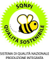 Logo_SQNPI_def